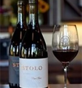 stolo vineyards