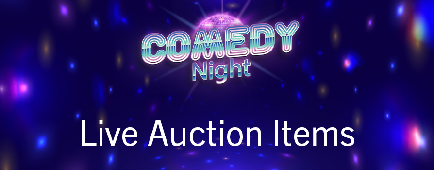 comedy night live auction items