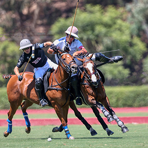 polo player on a horse