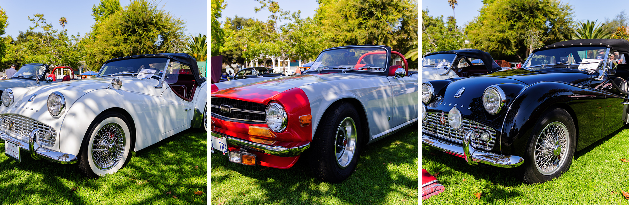 Cars at Day of Hope car show