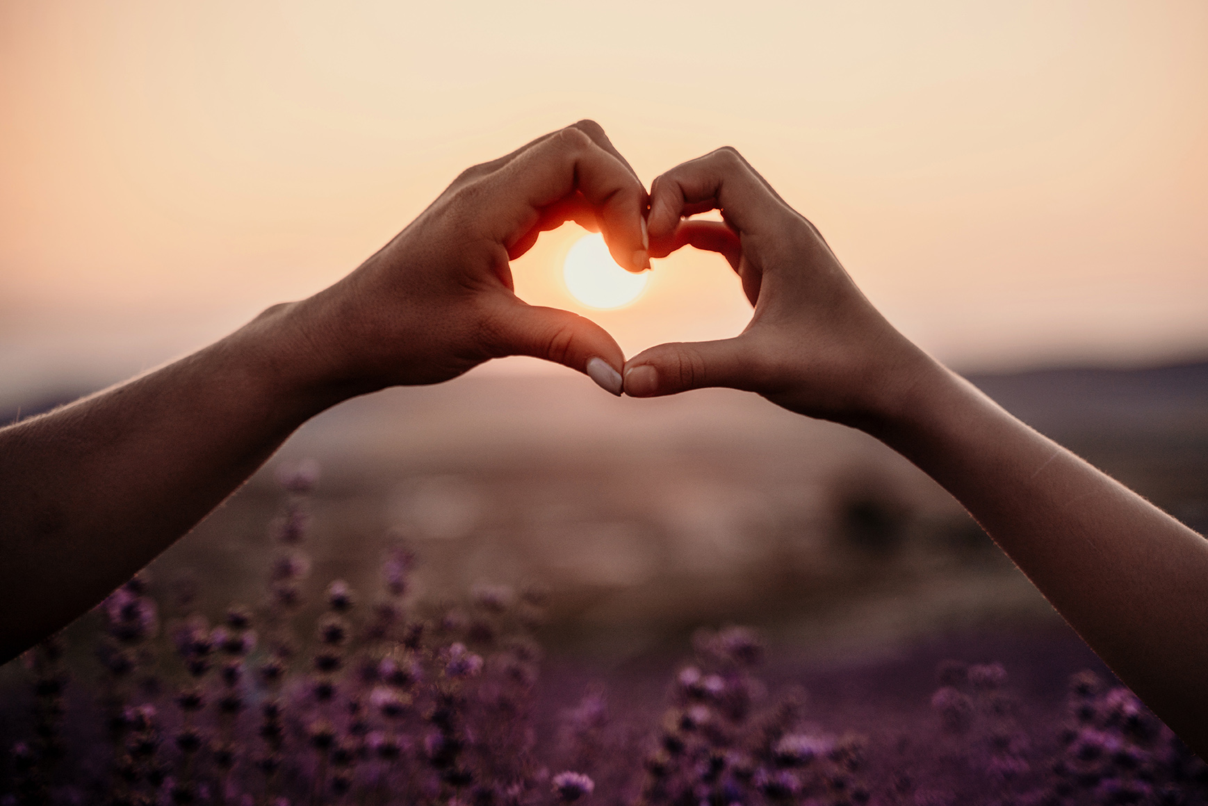 heart hands with sunset and purple flowers