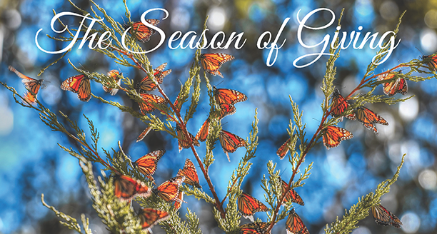 the season of giving