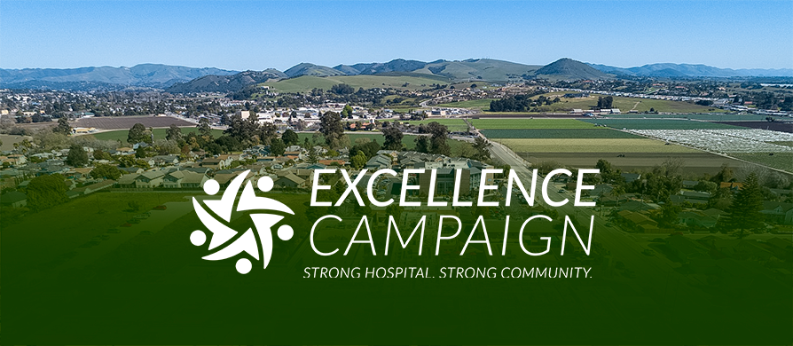 excellence campaign