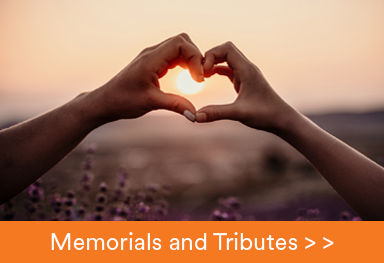 heart hands with sunset and purple flowers